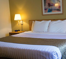 Boarders Inn & Suites by Cobblestone Room