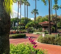 Wailea Point Exterior