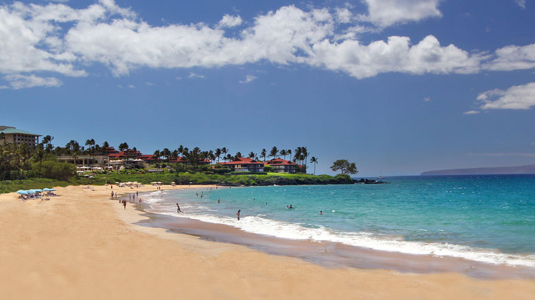 <b>Wailea Point Beach</b>. Images powered by <a href="https://www.leonardoworldwide.com/" title="Leonardo Worldwide" target="_blank">Leonardo</a>.