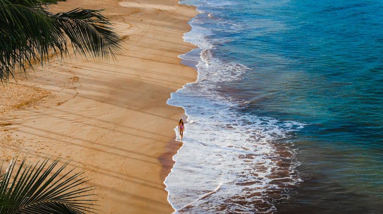 <b>Wailea Point Beach</b>. Images powered by <a href="https://www.leonardoworldwide.com/" title="Leonardo Worldwide" target="_blank">Leonardo</a>.