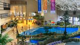 Holiday Inn Resort Alpensia Pyeongchang Pool