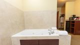 Cobblestone Hotel & Suites Knoxville Suite