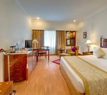 The HHI Hotel Hindusthan International Room
