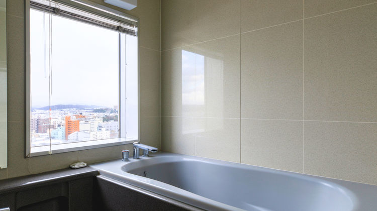 Holiday Inn ANA Kanazawa Sky Hotel Room