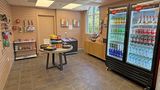 Voco Kissimmee Orlando Other