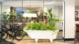 Arenas Atiram Hotel Lobby