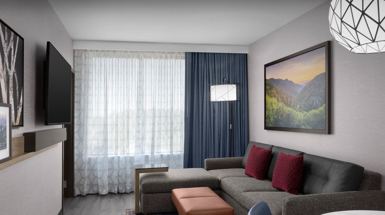 <b>Embassy Suites Pigeon Forge Room</b>. Images powered by <a href="https://www.leonardoworldwide.com/" title="Leonardo Worldwide" target="_blank">Leonardo</a>.