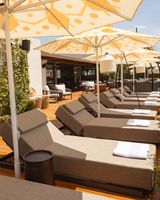 Adia Aluma Athens Curio