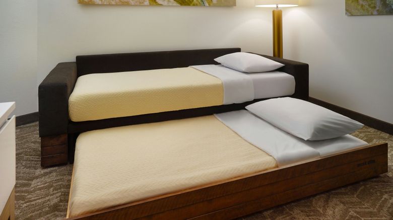 <b>SpringHill Suites Ellijay Suite</b>. Images powered by <a href="https://www.leonardoworldwide.com/" title="Leonardo Worldwide" target="_blank">Leonardo</a>.