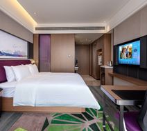 Hampton Nanning Wuxiang Room
