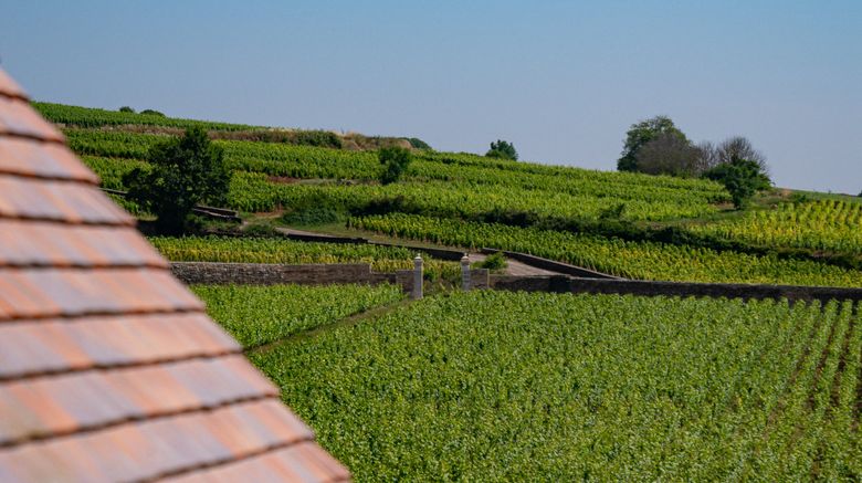 <b>Chateau de la Commaraine Other</b>. Images powered by <a href="https://www.leonardoworldwide.com/" title="Leonardo Worldwide" target="_blank">Leonardo</a>.