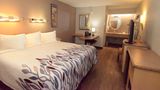 Red Roof Inn Buffalo - Hamburg/ I-90 Room