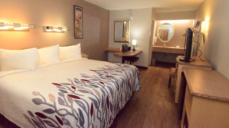 Red Roof Inn Buffalo - Hamburg/ I-90 Room