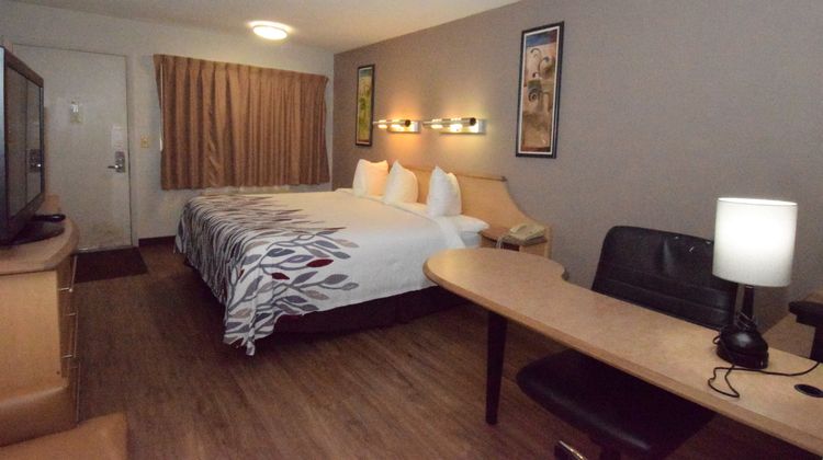 Red Roof Inn Buffalo - Hamburg/ I-90 Room
