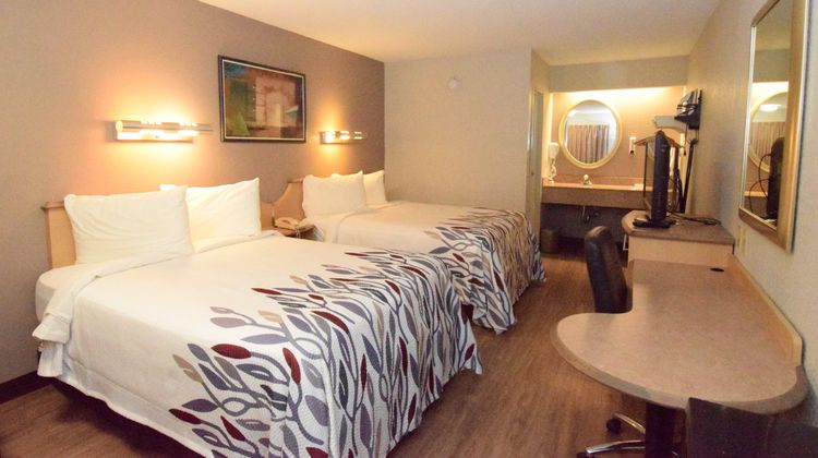 Red Roof Inn Buffalo - Hamburg/ I-90 Room