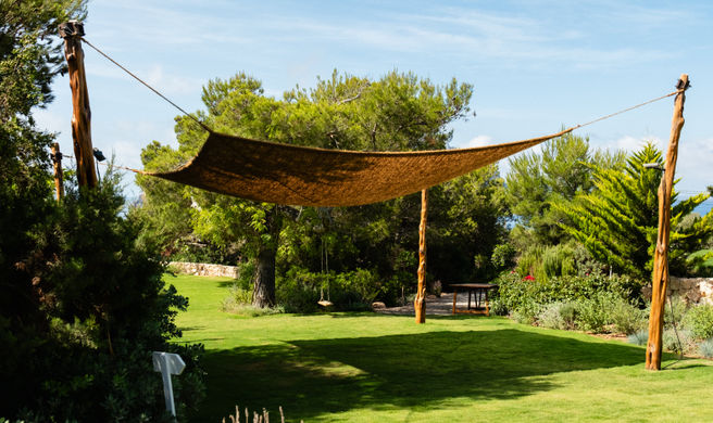 Petunia Ibiza Exterior