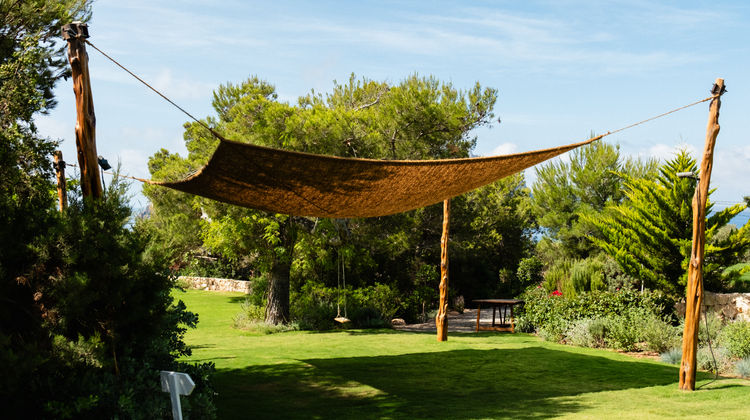 Petunia Ibiza Exterior