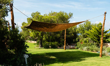 Petunia Ibiza