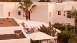 Petunia Ibiza Exterior