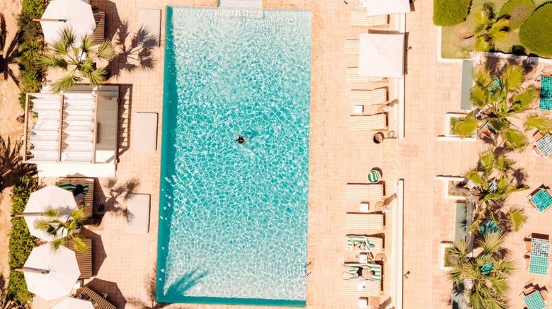 <b>Petunia Ibiza Pool</b>. Images powered by <a href="https://www.leonardoworldwide.com/" title="Leonardo Worldwide" target="_blank">Leonardo</a>.