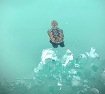 Jamaica Inn Exterior