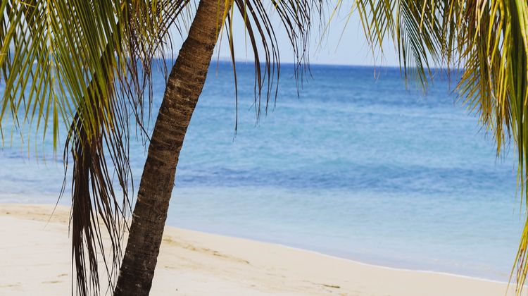 Jamaica Inn Beach