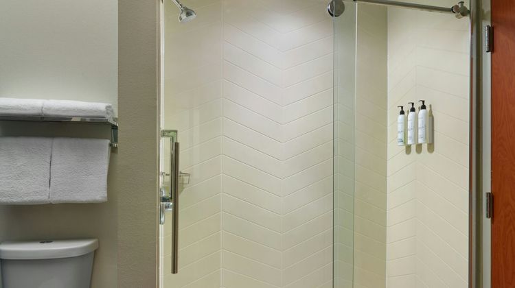 Fairfield Inn & Suites Charleston North/ Room