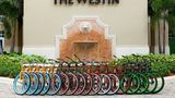 The Westin Cape Coral Resort Other