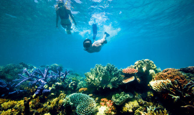 Lizard Island Resort Exterior