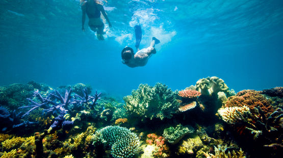 Lizard Island Resort, Lizard Island, Australia