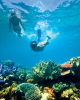 Lizard Island Resort