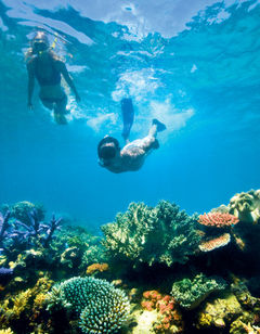 Lizard Island Resort