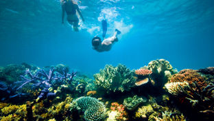 Lizard Island Resort