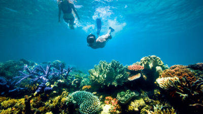 Lizard Island Resort