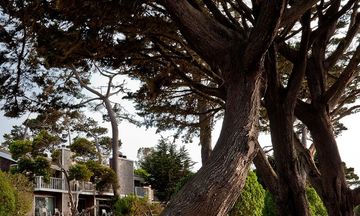 Lighthouse Lodge & Cottages