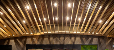 Atwell Suites Wuning Exterior