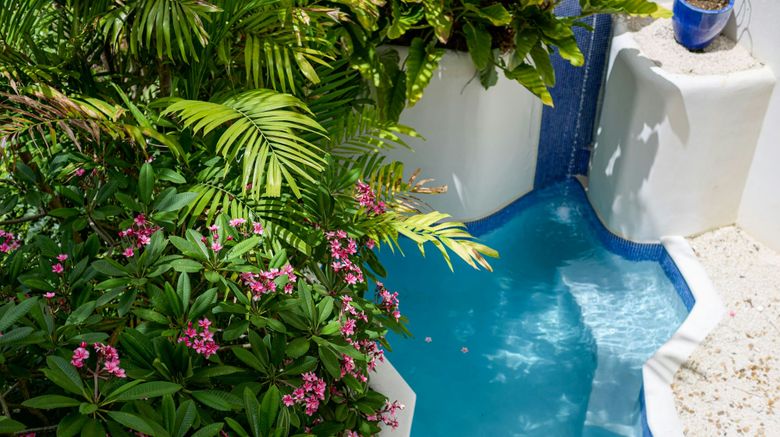 <b>The House Barbados Pool</b>. Images powered by <a href="https://www.leonardoworldwide.com/" title="Leonardo Worldwide" target="_blank">Leonardo</a>.