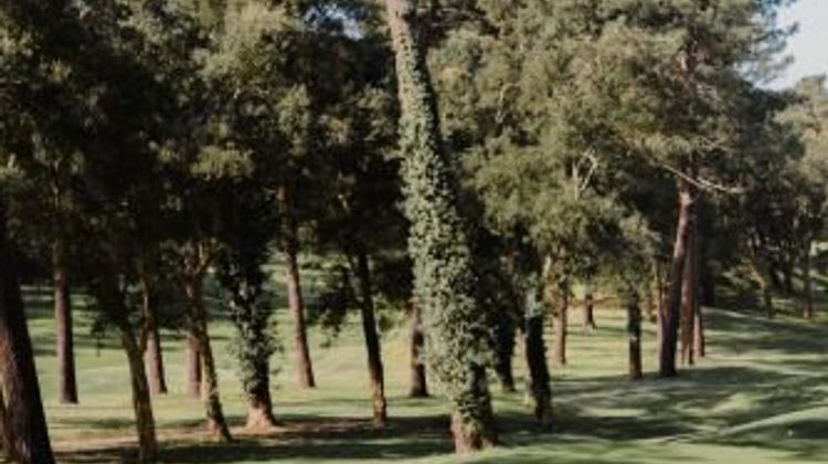 70 Hectares et L Ocean Golf