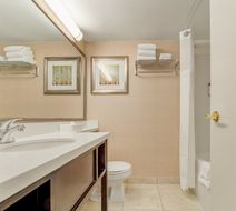 Holiday Inn Conference Centre Room