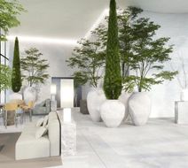 Eurostars Californie Lobby