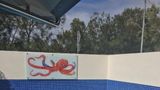 Manly Marina Cove Motel Other