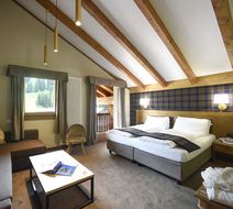 Hotel Orso Grigio Room