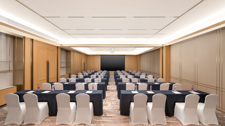 <b>Hilton Garden Inn Pengcheng Sqr Meeting</b>. Images powered by <a href="https://www.leonardoworldwide.com/" title="Leonardo Worldwide" target="_blank">Leonardo</a>.