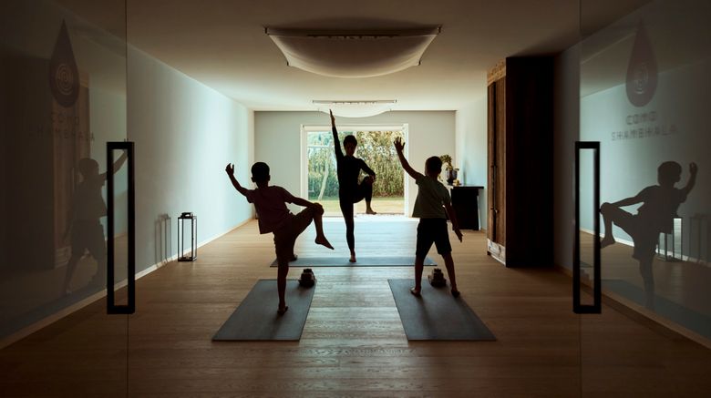 <b>COMO Alpina Dolomites Health Club</b>. Images powered by <a href="https://www.leonardoworldwide.com/" title="Leonardo Worldwide" target="_blank">Leonardo</a>.
