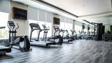 The Westin Pushkar Resort & Spa Health Club