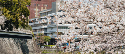 Kumamoto Hotel Castle Exterior