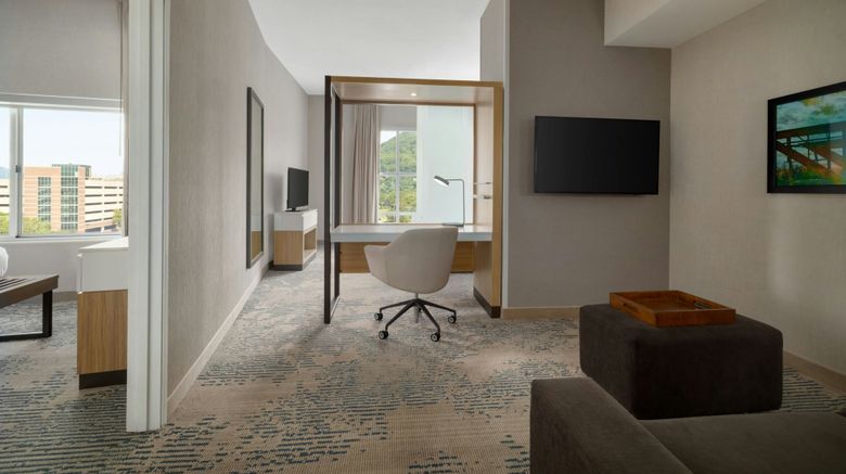 <b>SpringHill Suites Roanoke Room</b>. Images powered by <a href="https://www.leonardoworldwide.com/" title="Leonardo Worldwide" target="_blank">Leonardo</a>.