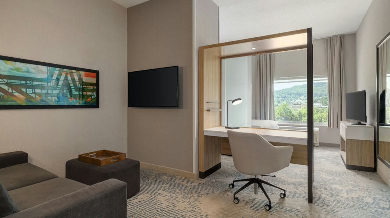 <b>SpringHill Suites Roanoke Suite</b>. Images powered by <a href="https://www.leonardoworldwide.com/" title="Leonardo Worldwide" target="_blank">Leonardo</a>.