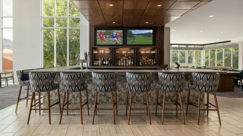 <b>SpringHill Suites Roanoke Lobby</b>. Images powered by <a href="https://www.leonardoworldwide.com/" title="Leonardo Worldwide" target="_blank">Leonardo</a>.