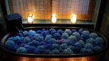 THE JUNEI HOTEL Kyoto Imperial Palace Room